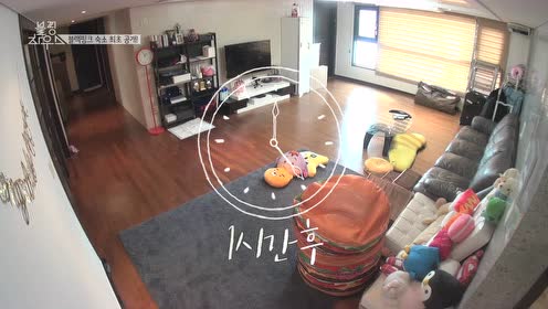 Blackpink House