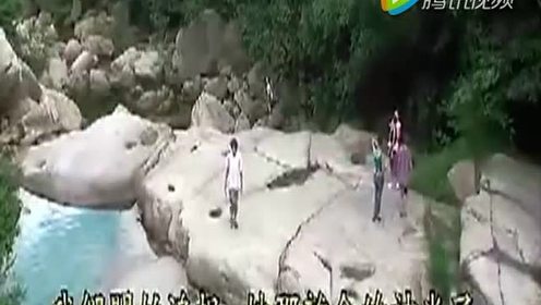 苏教版九年级语文上册22 绿