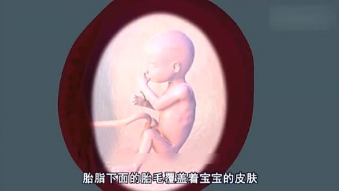 怀孕18 21周胎儿在妈妈肚子里的胎动 腾讯视频