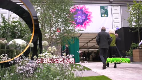 石原和幸 腾讯视频