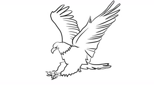 老鹰幼儿亲子简笔画