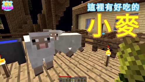 我的世界欧拉生存 腾讯视频
