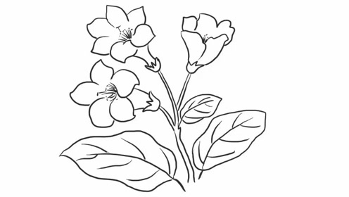 学画花慢板 腾讯视频