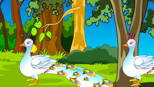 天天儿歌动画《金孔雀》