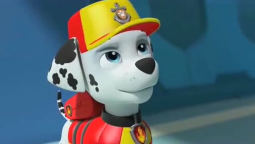 汪汪队立大功:章鱼妈妈在海滩寻找宝宝,毛毛穿炫酷潜水服救援!