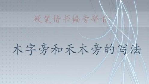 第十课 硬笔楷书偏旁部首 木字旁和禾木旁 腾讯视频