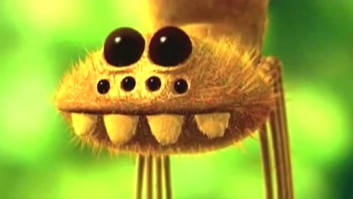 昆虫总动员;小瓢虫的挑衅!借力用力