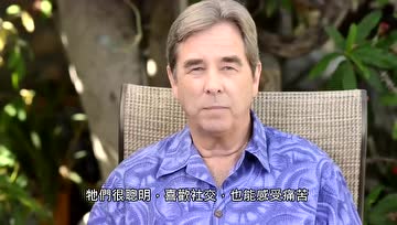 知名素食演员：我为什么不吃海鲜？