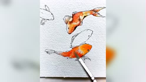 水彩金鱼 腾讯视频