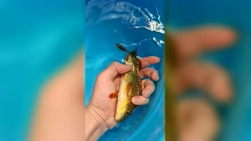 腾讯视频