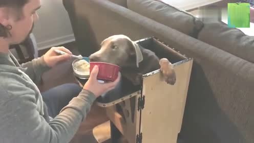 猫巨食道症 腾讯视频