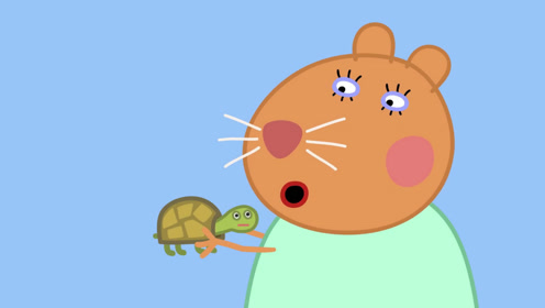 手绘简笔画:仓鼠兽医的乌龟小土豆真是太淘气了