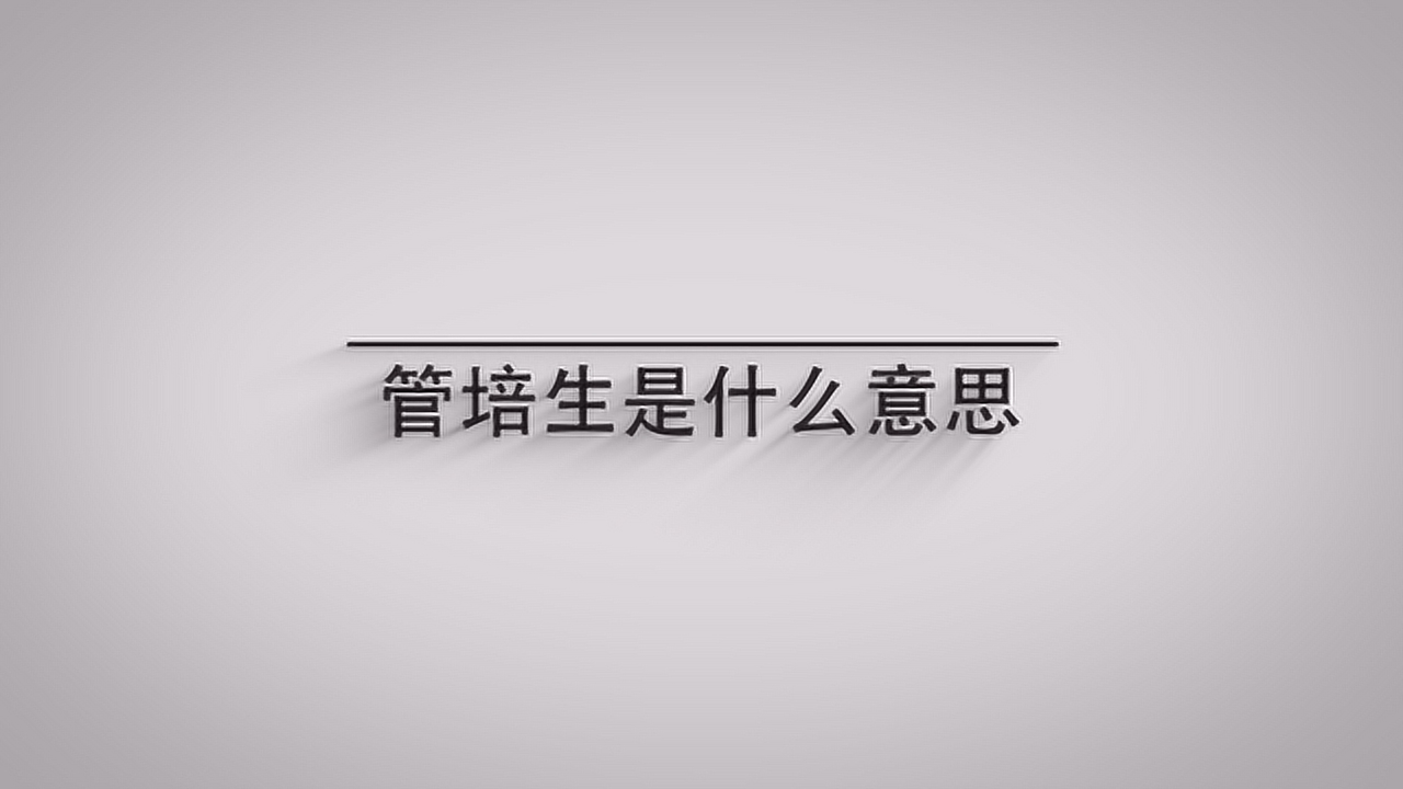 细腻的管培生是什么意思的图片
