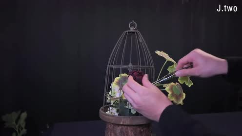 鸟笼花 腾讯视频