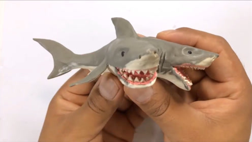 牛人用橡皮泥制作了一个双头鲨鱼,你见过有俩头的生物吗?