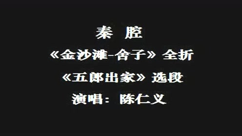 陈仁义秦腔《金沙滩-舍子》