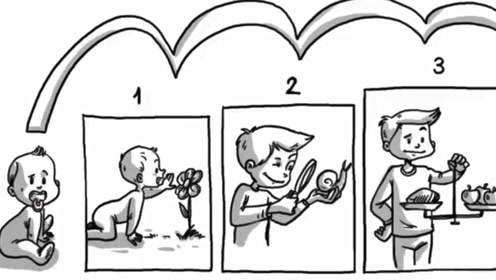 感知运动阶段,前运算阶段,具体运算阶段和形式运算阶