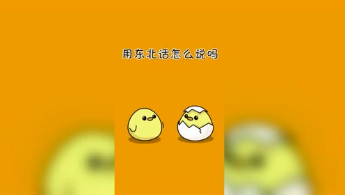 东北话必须的一本正经飚方言