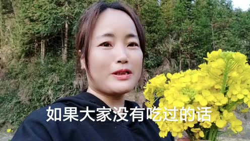 白菜素卷 腾讯视频