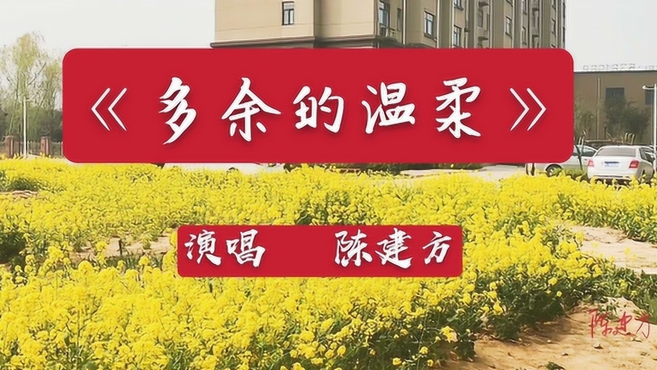 一首情歌(多余的温柔)句句心酸,听哭了多少有情人