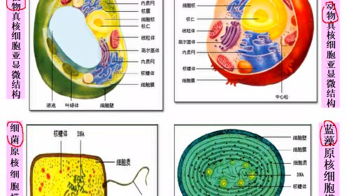 腾讯视频