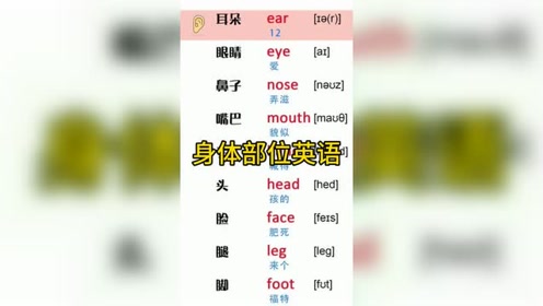 身体部位词汇 腾讯视频