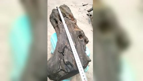 纯朽木雕刻 腾讯视频