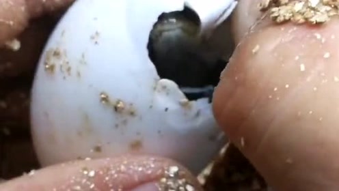 腾讯视频