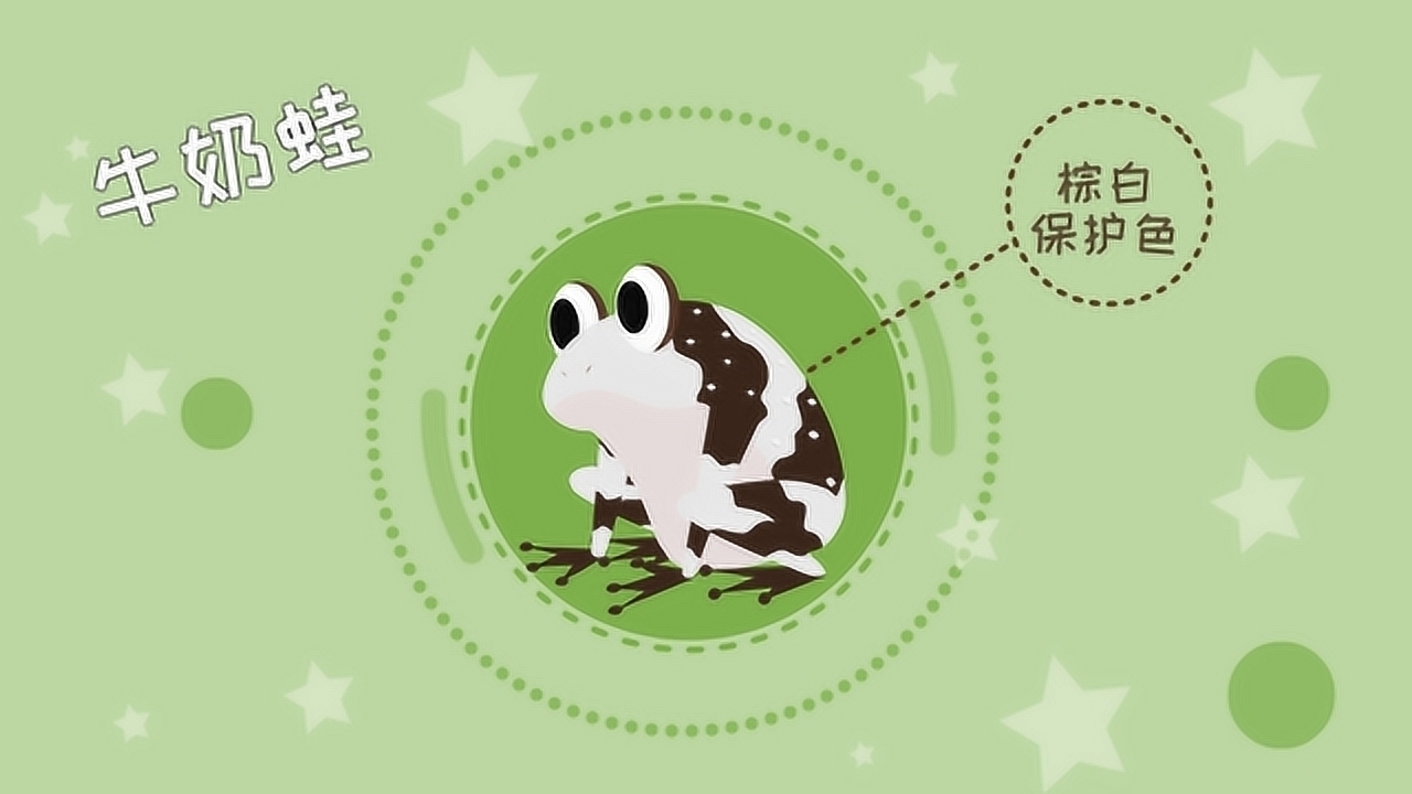 同学们,你们认识牛奶蛙吗,知道它为什么叫这么可爱的一个名字吗