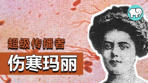 超级传播者——伤寒玛丽 行走的病菌库