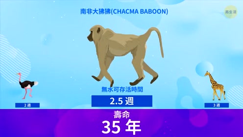 その水棲動物をみ 腾讯视频