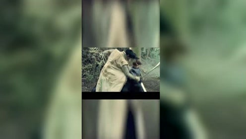 四乃森苍紫 腾讯视频