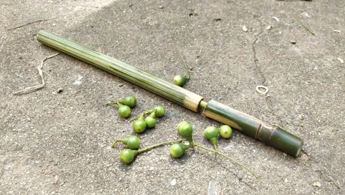 一根竹子做一把玩具枪,这种竹筒枪你小时候玩过吗?