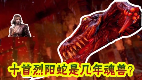 斗罗大陆:十首烈阳蛇是多少年限的魂兽?
