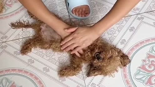 人工心脏按压 腾讯视频