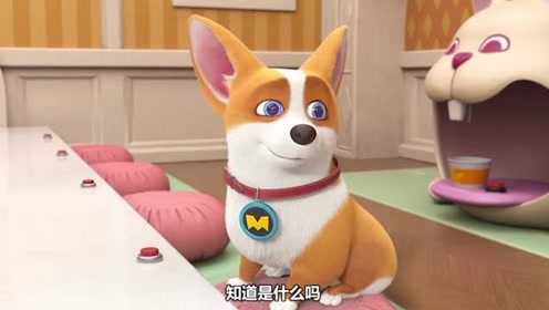 闪电狗狗 W 腾讯视频