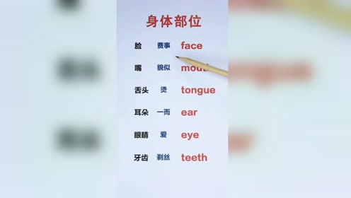 英语身体部位 腾讯视频