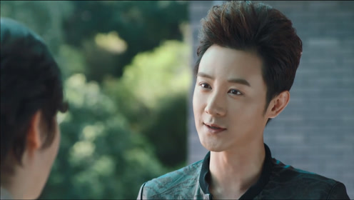 从而引发了陆欣所在的国安局的警觉,一场正义与邪恶的较量