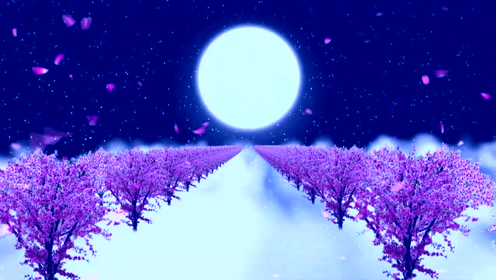 桃花背景 腾讯视频