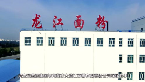 龙江面粉厂宣传片