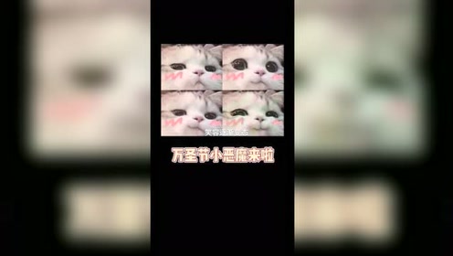 猫半空捕捉蝙蝠 腾讯视频