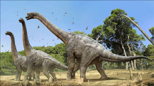 盘点地球上10种最大的恐龙:波塞东龙仅排第3,潮汐龙重达83吨