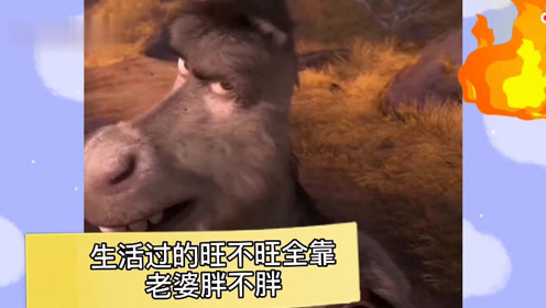 快楽隨我自甴自縡 腾讯视频