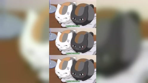 帅呆了猫先生 腾讯视频