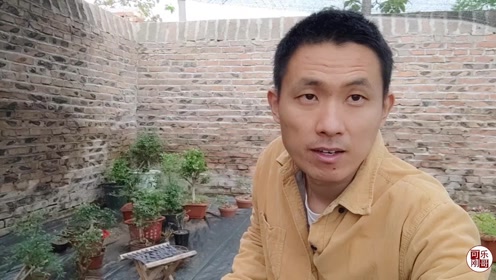 时 间:2021-05-15上传者:可乐刚哥简 介:裸根的石榴迎春榆树素材都