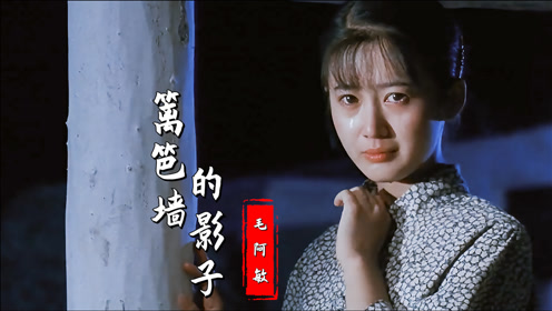 毛阿敏经典歌曲《篱笆墙的影子》,旋律凄美忧伤,歌声感人动听