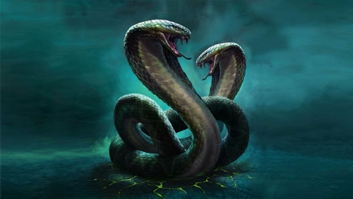 蛇鱼怪物 腾讯视频