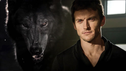 最强阿尔法狼登场,所有飞禽走兽一夜间暴毙,经典魔幻剧《少狼》