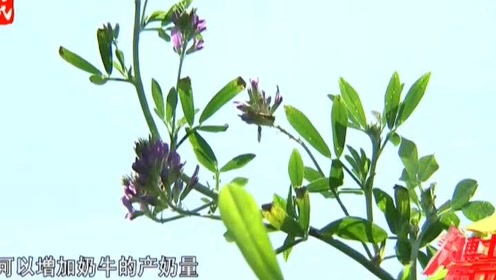 腾讯视频