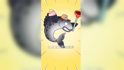 清道夫到底能不能吃?